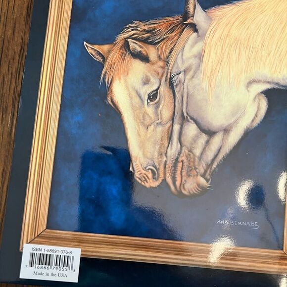 World Of Animals: book 4 By Ana Bernabe Viking Folk Art Acrylic Paint. - Picture 3 of 4